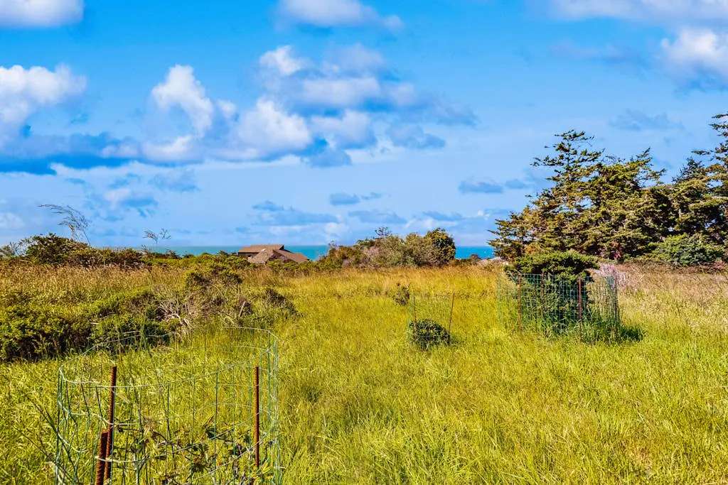 Ocean-view meadow studio near Shell Beach