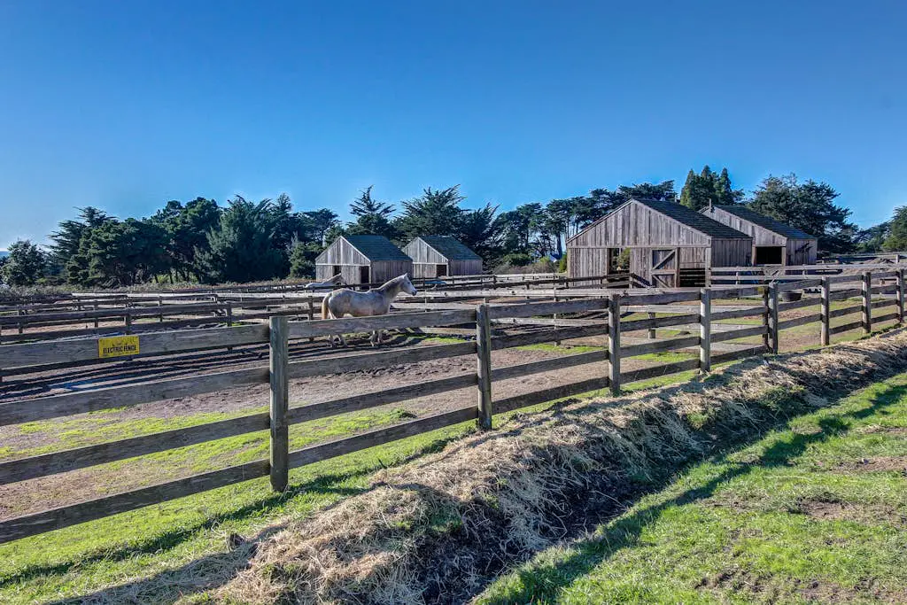 Ocean-view meadow studio near Shell Beach