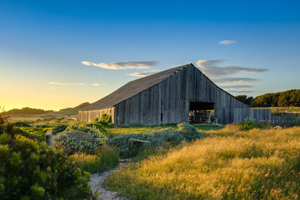 Ocean-view meadow studio near Shell Beach