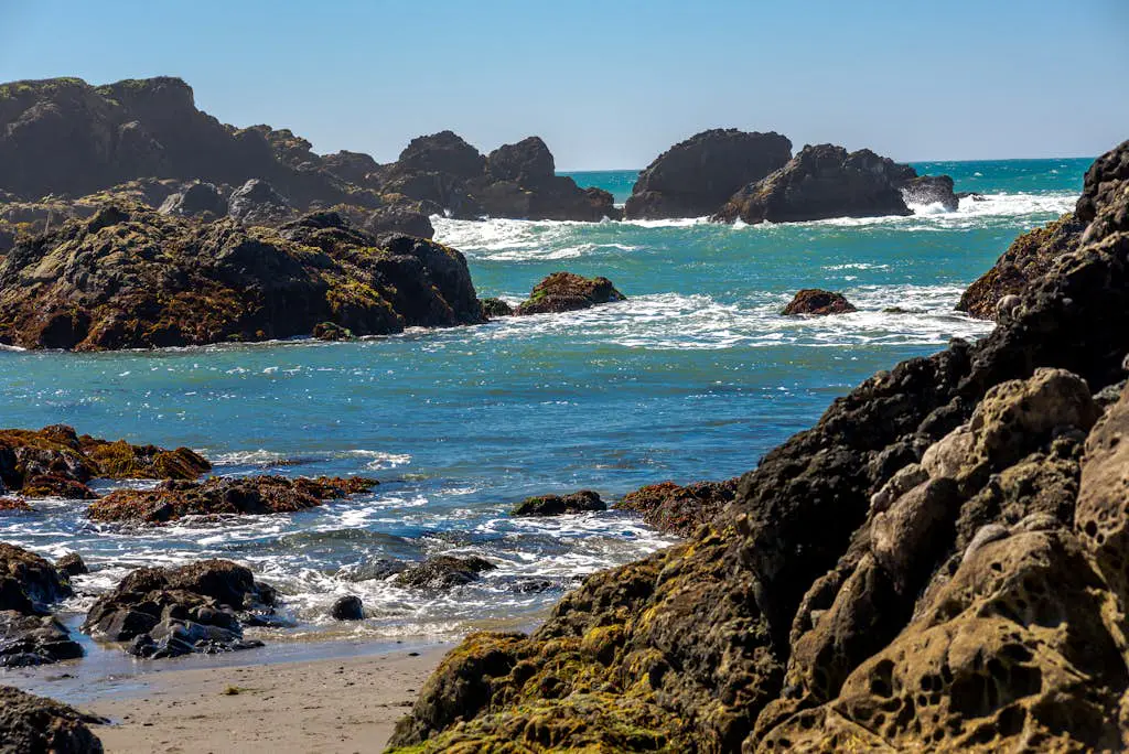 Ocean-view meadow studio near Shell Beach
