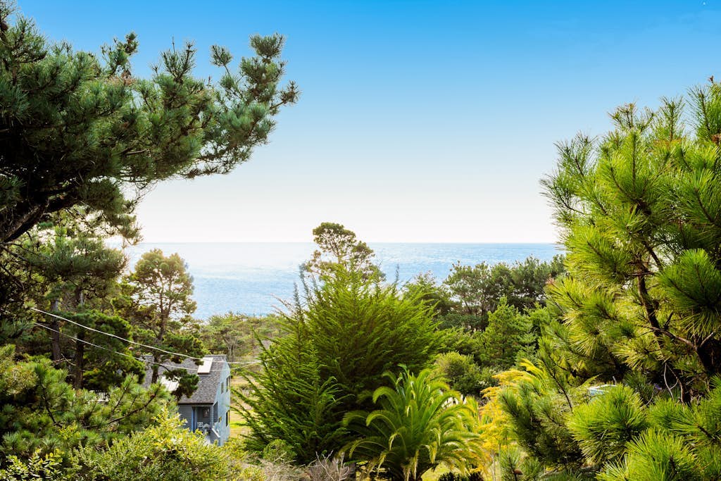 Unique coastal retreat boasting ocean views, spacious deck, lofted layout & WiFi