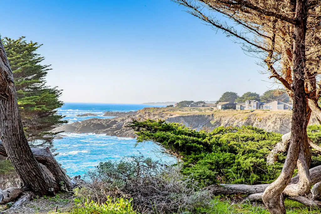 Seaspray - Oceanfront home with fireplace, EV charger & ocean views