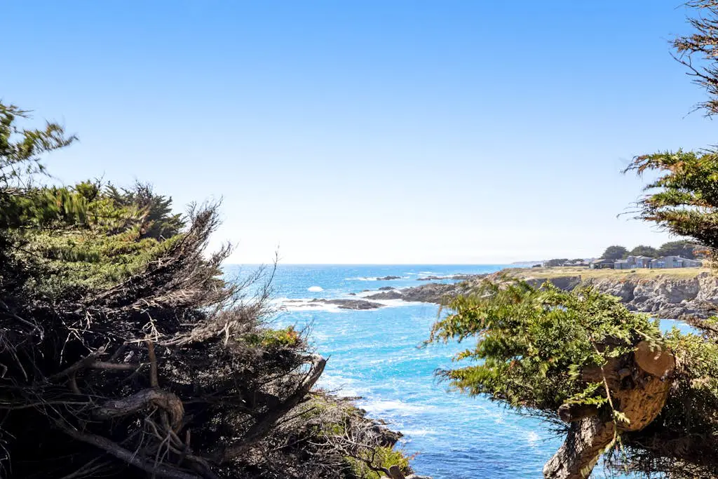 Seaspray - Oceanfront home with fireplace, EV charger & ocean views