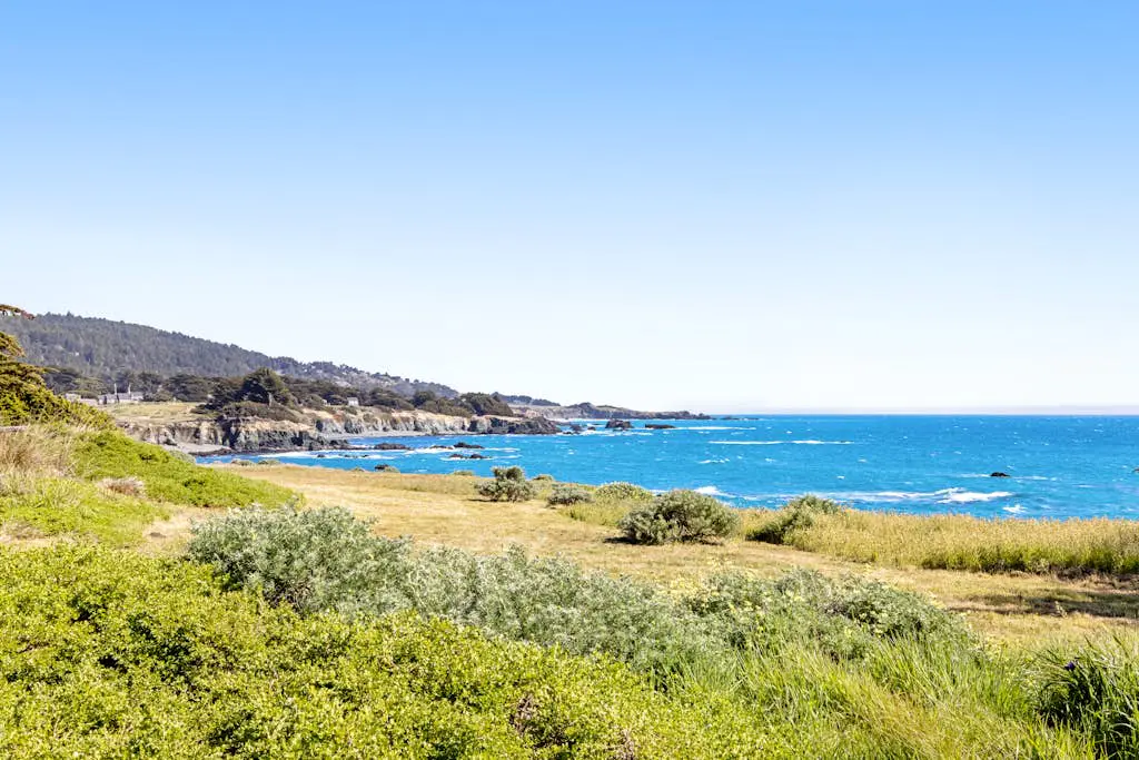 Seaspray - Oceanfront home with fireplace, EV charger & ocean views
