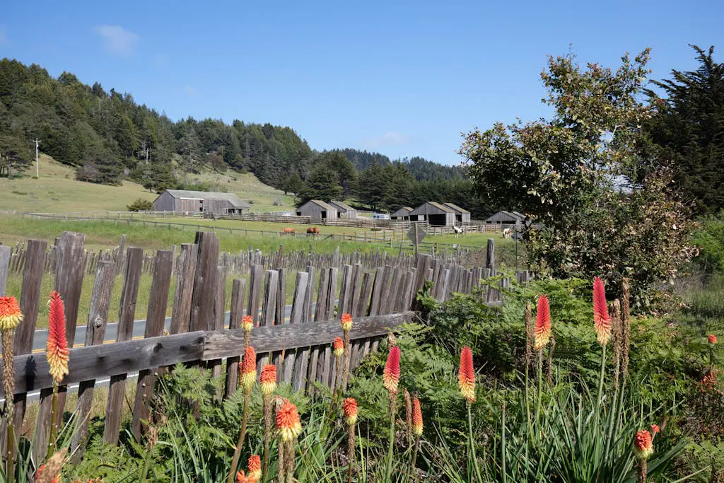 Sea Forever - Ocean-view Sea Ranch home with hot tub near Walk On Beach