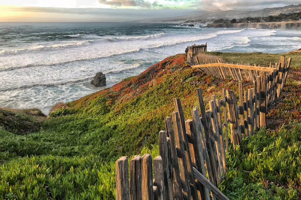 Sea Forever - Ocean-view Sea Ranch home with hot tub near Walk On Beach