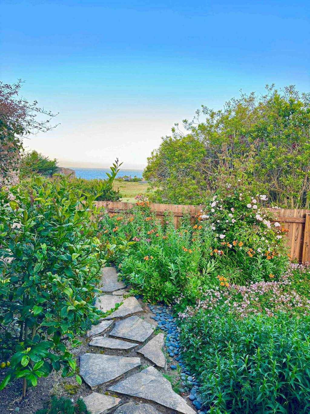 From the living room to the deck, the Pacific is always in view at this coastal home. End the day in your private hot tub with the ocean as your soundtrack. Bring your pup -- dogs love the bluff trails here. Room for 8 in this 4-bedroom home. Sea Ranch community pools, tennis courts, and the Lodge are nearby. Architecture, nature, and the Pacific -- Sea Ranch has it all. Pelicans glide past the windows, and on clear days the horizon feels infinite.
