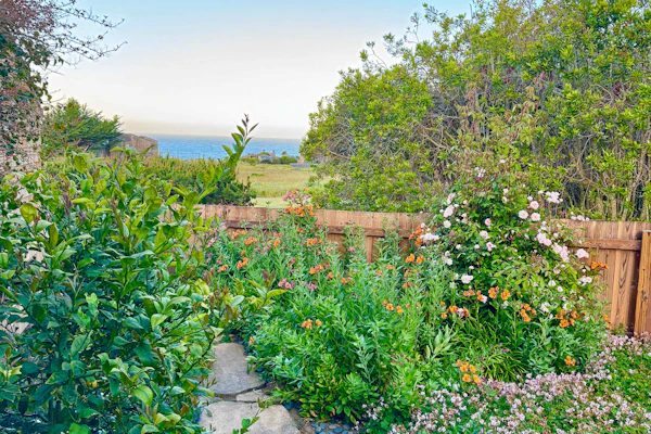 From the living room to the deck, the Pacific is always in view at this coastal home. End the day in your private hot tub with the ocean as your soundtrack. Bring your pup -- dogs love the bluff trails here. Room for 8 in this 4-bedroom home. Sea Ranch community pools, tennis courts, and the Lodge are nearby. Architecture, nature, and the Pacific -- Sea Ranch has it all. Pelicans glide past the windows, and on clear days the horizon feels infinite.