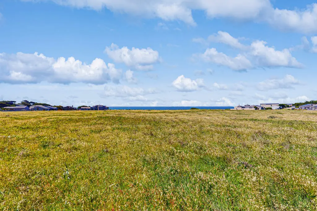 Windrow Retreat - Newly remodeled ocean-view home with private hot tub & fireplace