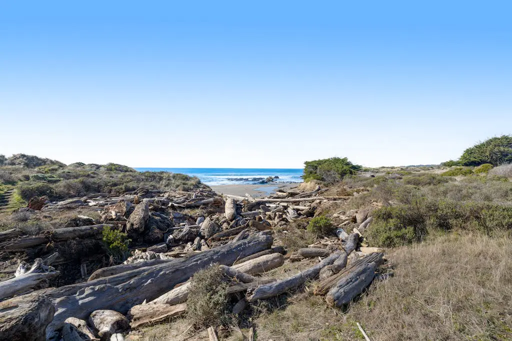 Samson Getaway - Ocean-view meadow home with hot tub near Walk On Beach, dogs welcome