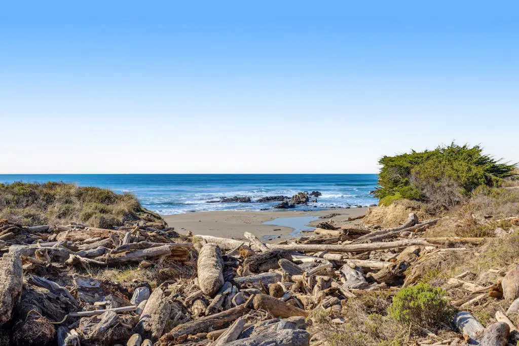Samson Getaway - Ocean-view meadow home with hot tub near Walk On Beach, dogs welcome