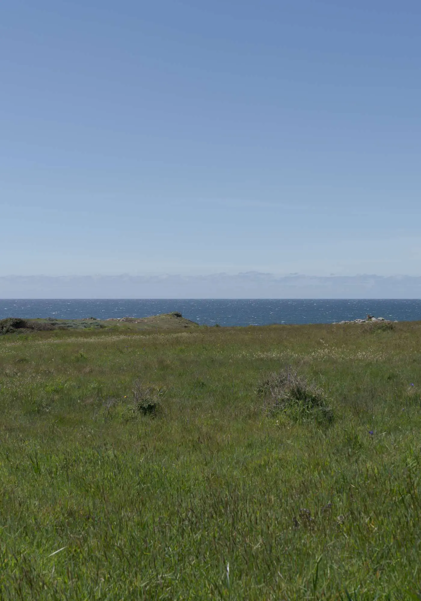 Blue Heron - Ocean-view home with private hot tub, EV charger & fireplace