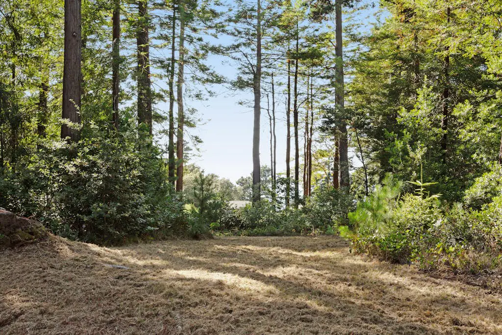 Tree House - Sea Ranch home with deck & grill near Shell Beach, dogs welcome