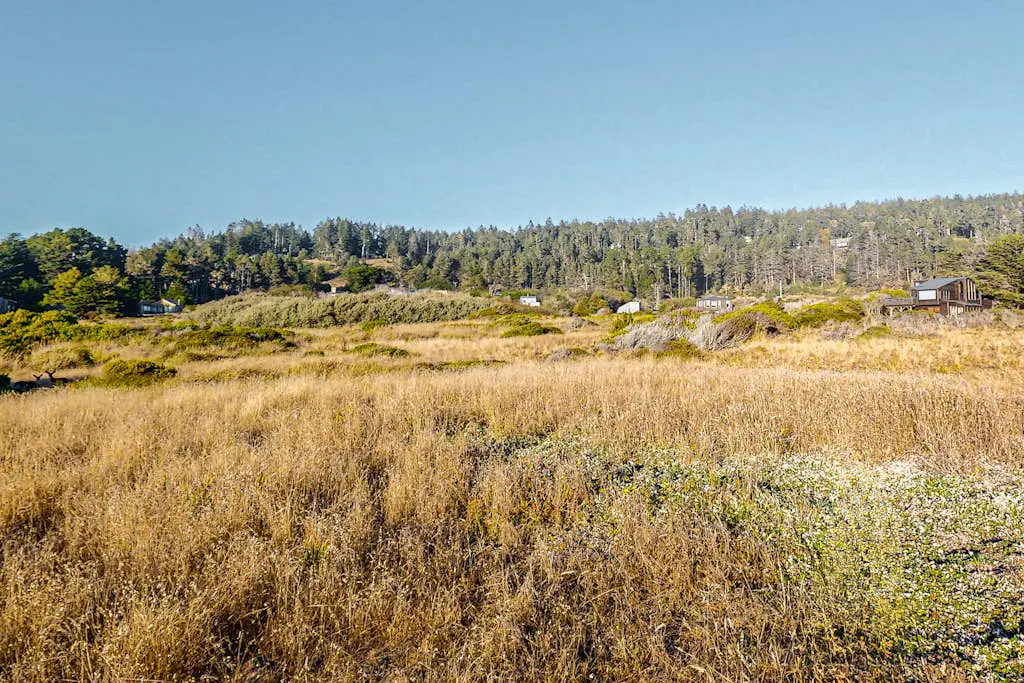 Bowsprit Retreat - Oceanfront Sea Ranch home with hot tub & deck, dogs welcome
