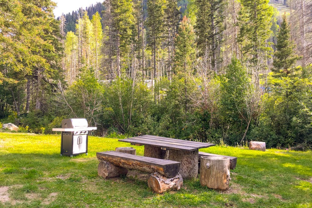 Ski-In, Ski-Out Condo at Sierra Del Sol with Sauna & Views, Walk to Village