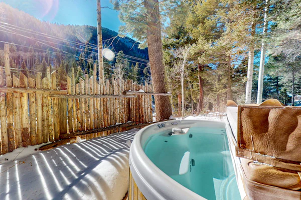 Serene & sunlit dog-friendly cabin with hot tub, fire pit, & views - near skiing