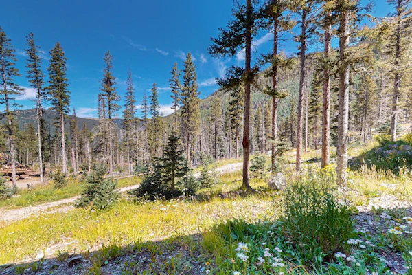 Cozy condo near ski lift, trails and outdoor activities