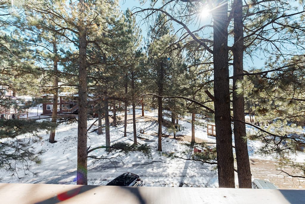 Cozy condo w/ wood fireplace & picnic areas - 3 blocks to skiing, walk to town