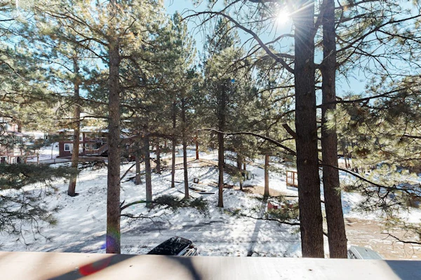 Cozy condo w/ wood fireplace & picnic areas - 3 blocks to skiing, walk to town