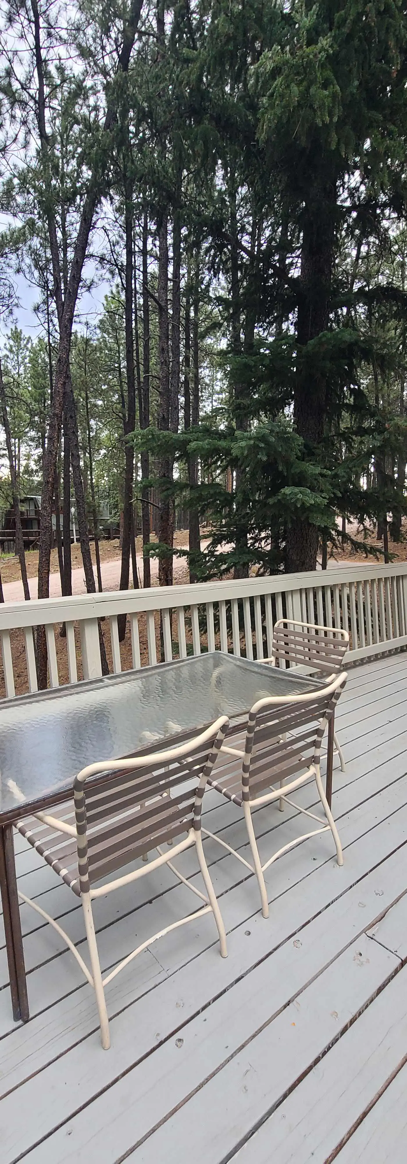 Coyote Cabin - Deck Views, Gameroom, Close to Golf