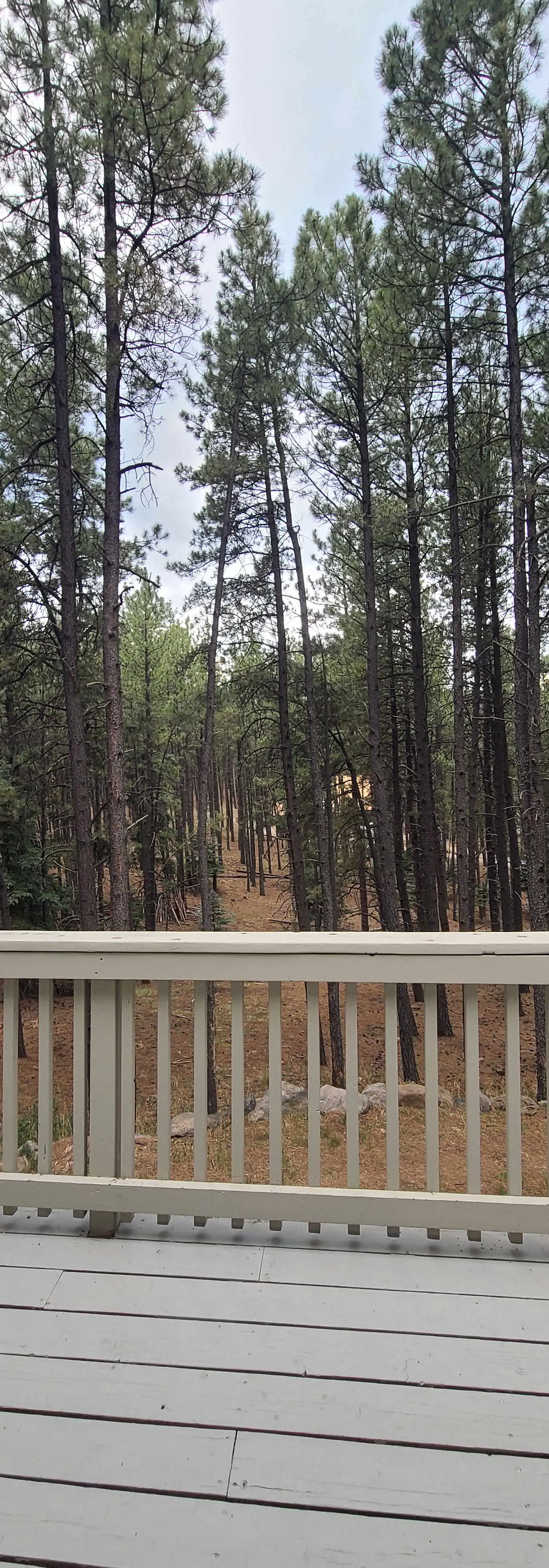 Coyote Cabin - Deck Views, Gameroom, Close to Golf