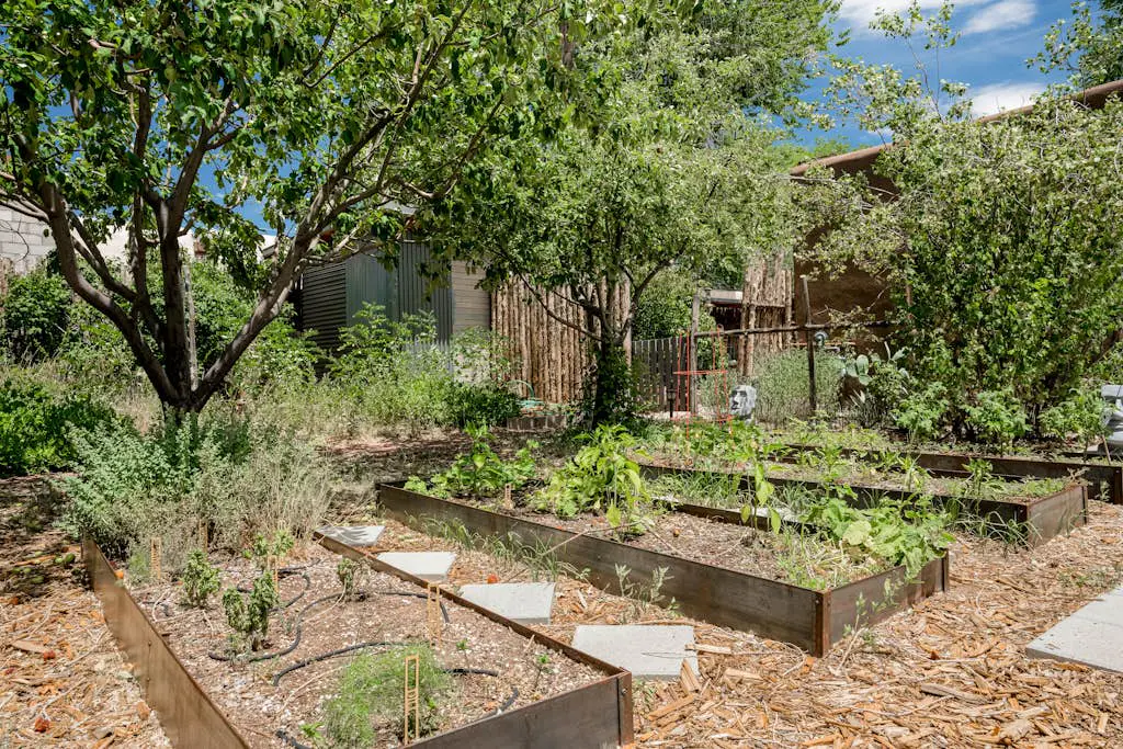 Santa Fe Serenity