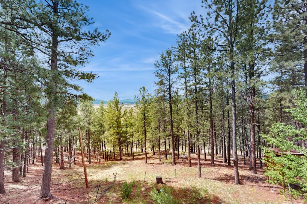 Unique lodge w/ mountain & valley views, wood-burning fireplace, and decks