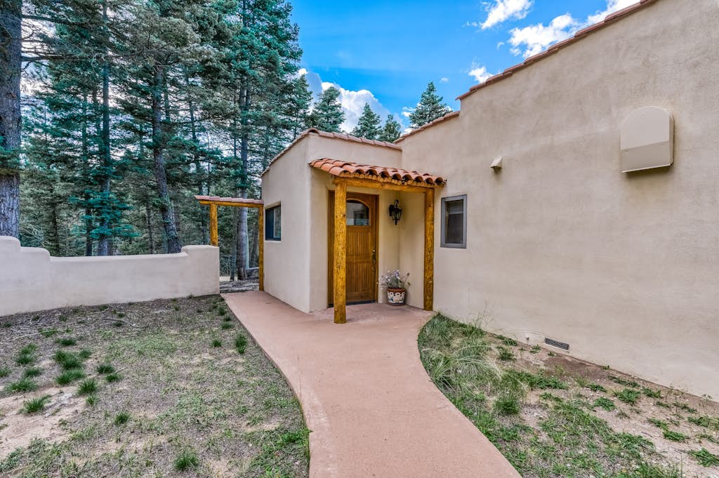 Beautiful home with fireplace, custom murals, gourmet kitchen, & forest views