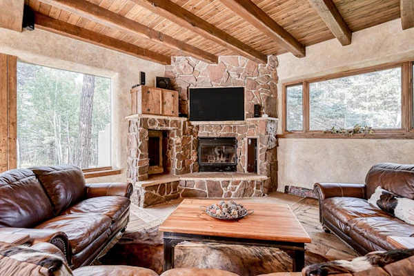 Beautiful home with fireplace, custom murals, gourmet kitchen, & forest views