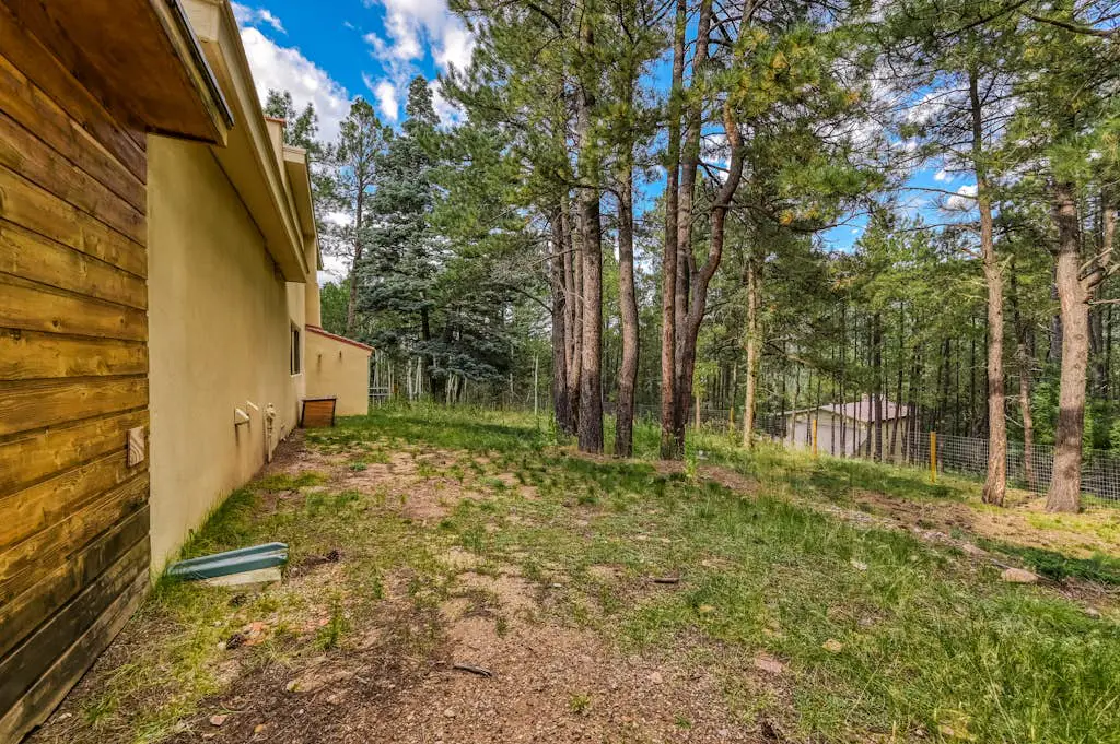 Casa Grande - the Palace in the Pines