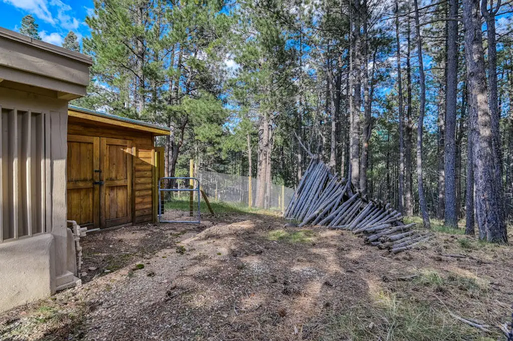 Casa Grande - the Palace in the Pines