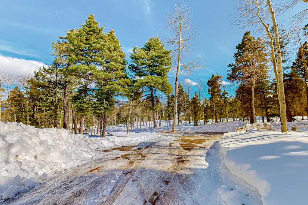Parker Chalet