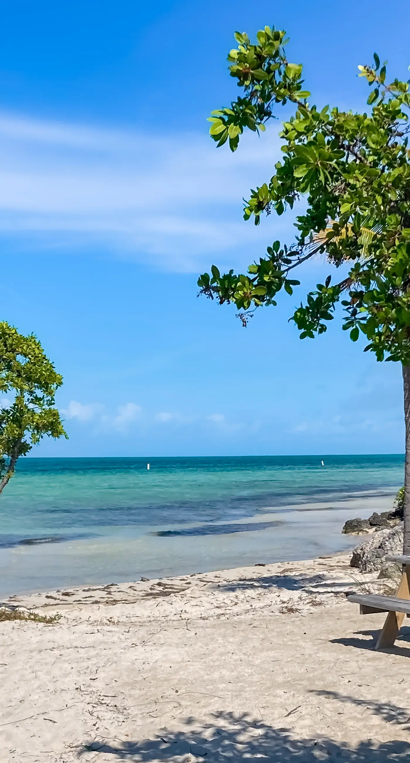 Captain's Cove
