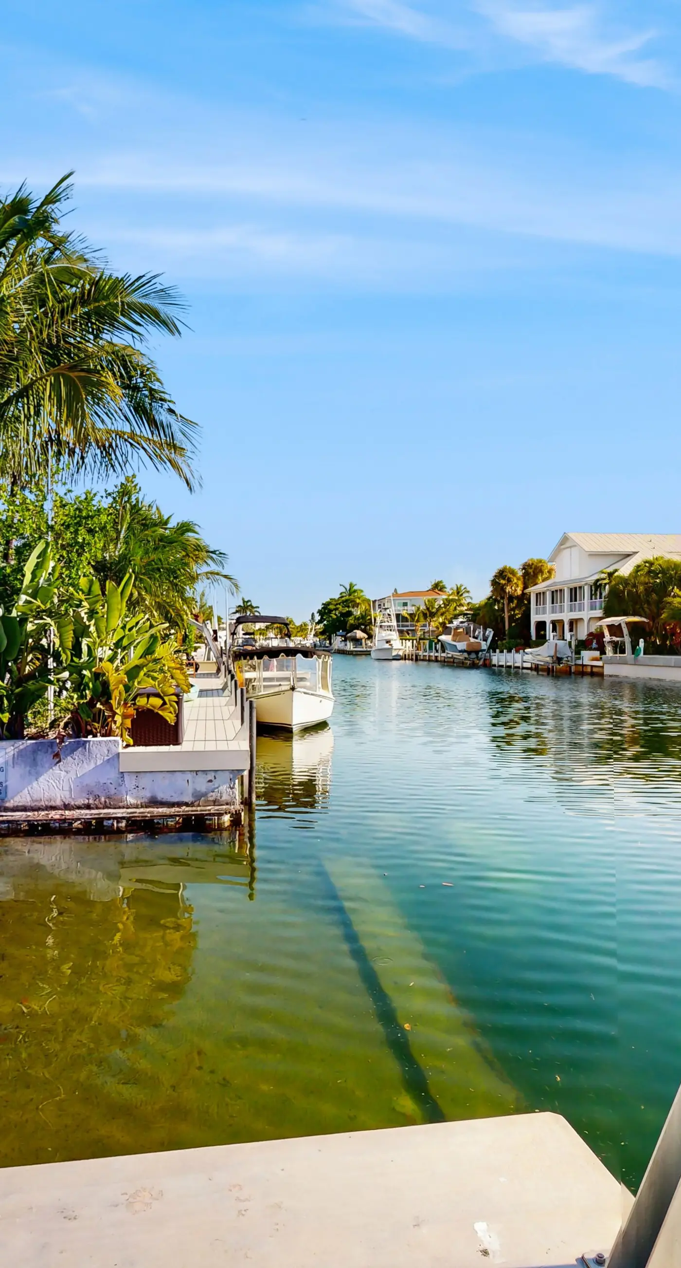 Captain's Cove