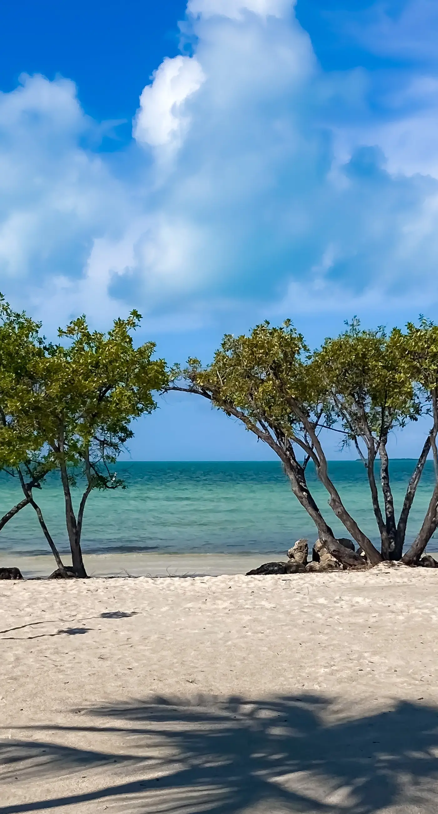 Captain's Cove