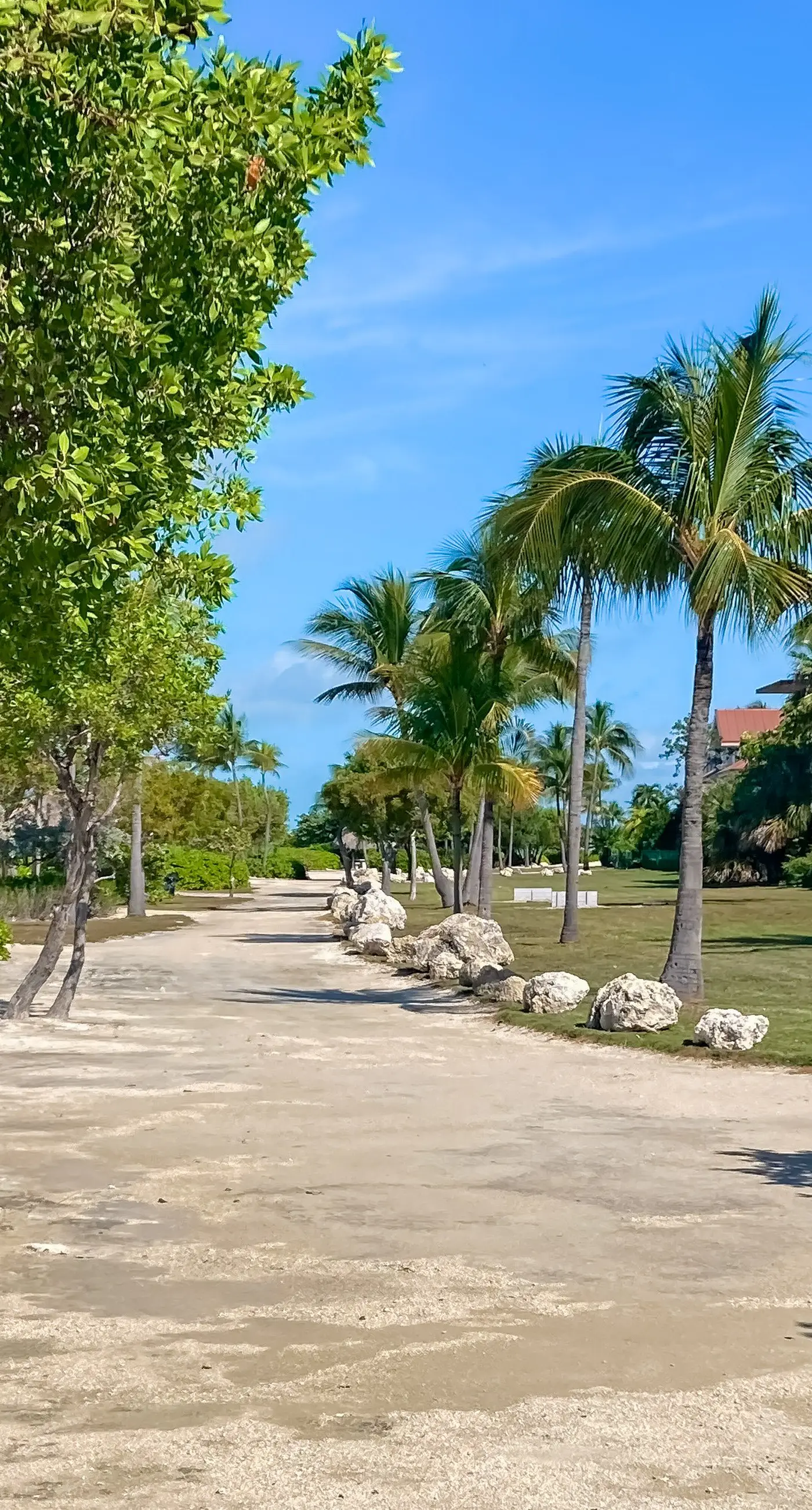 Captain's Cove