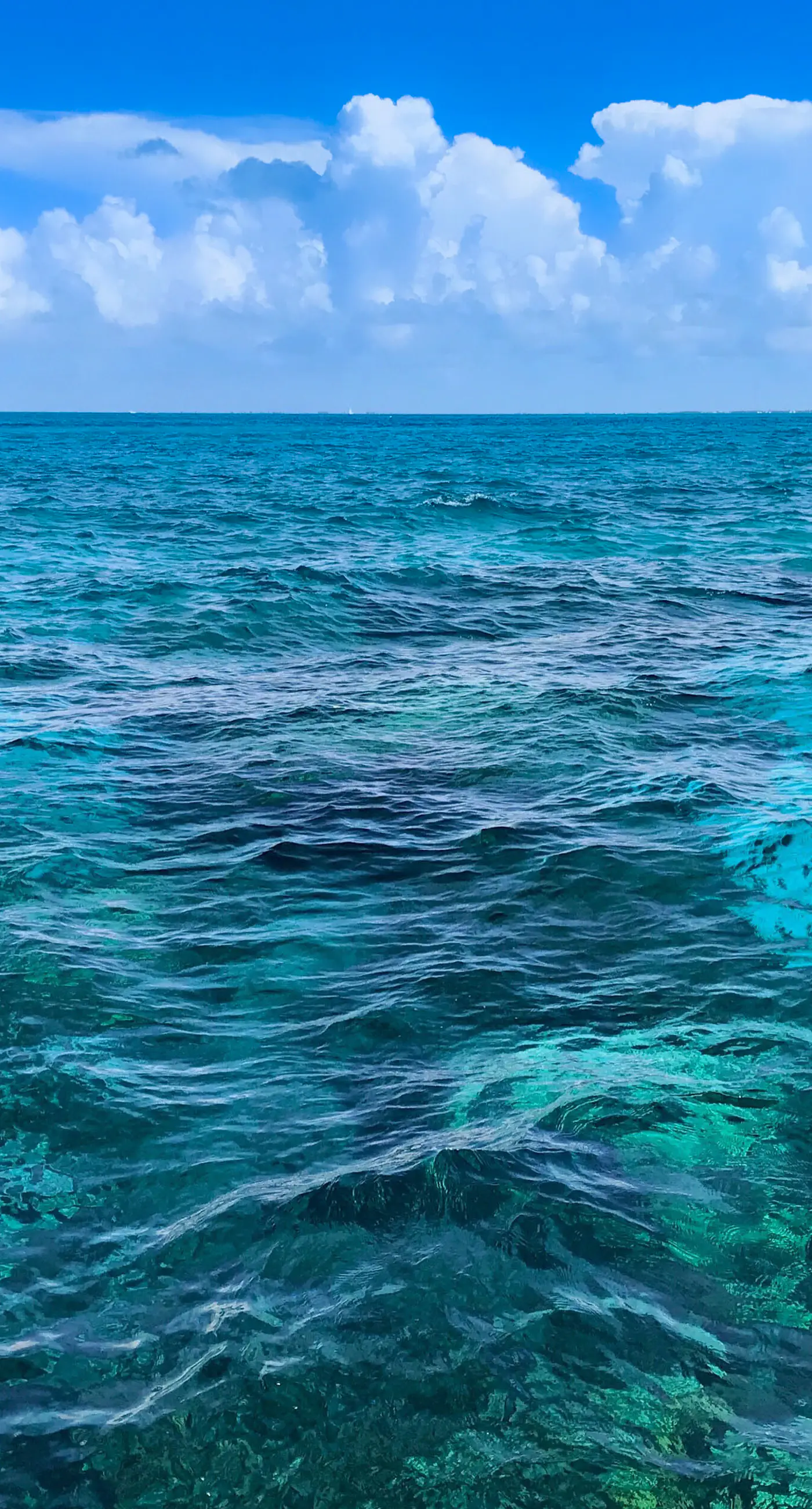 Sunrise Suites - Cozumel Suite 112