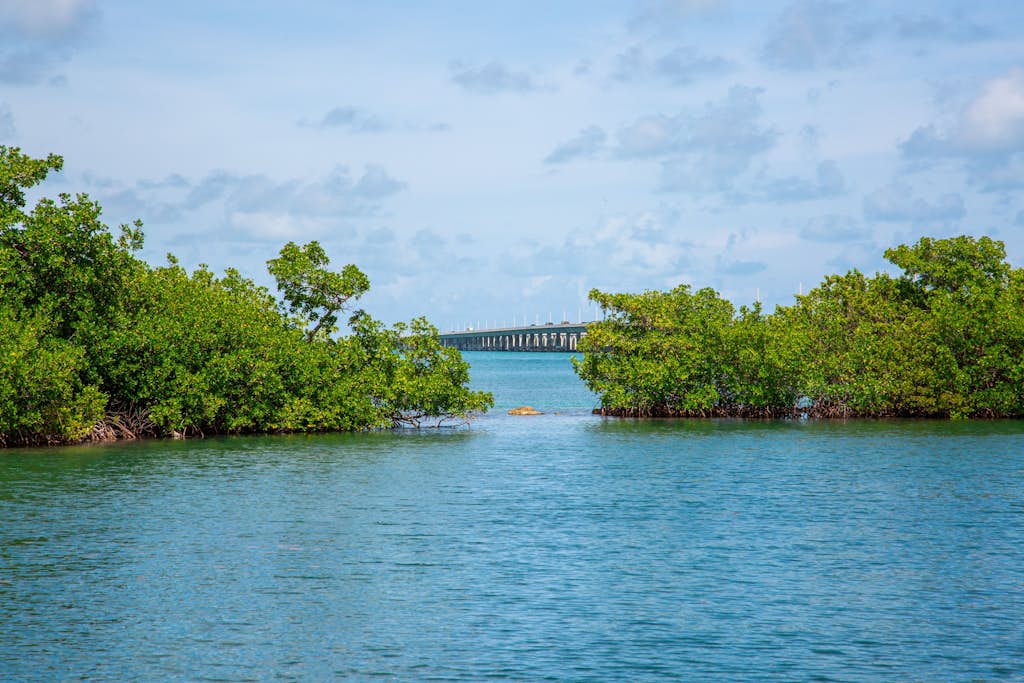 Waterfront & snowbird-friendly studio with dock & quick open water access