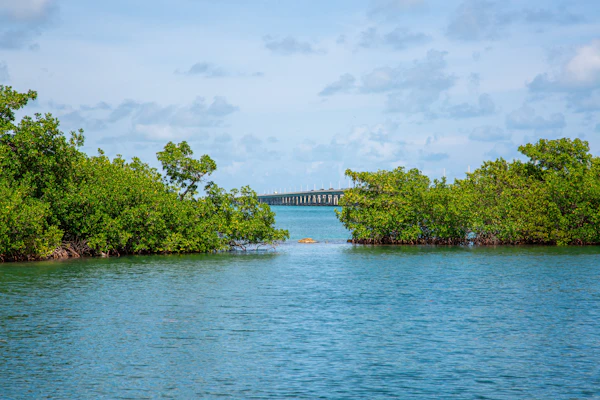 Waterfront & snowbird-friendly studio with dock & quick open water access