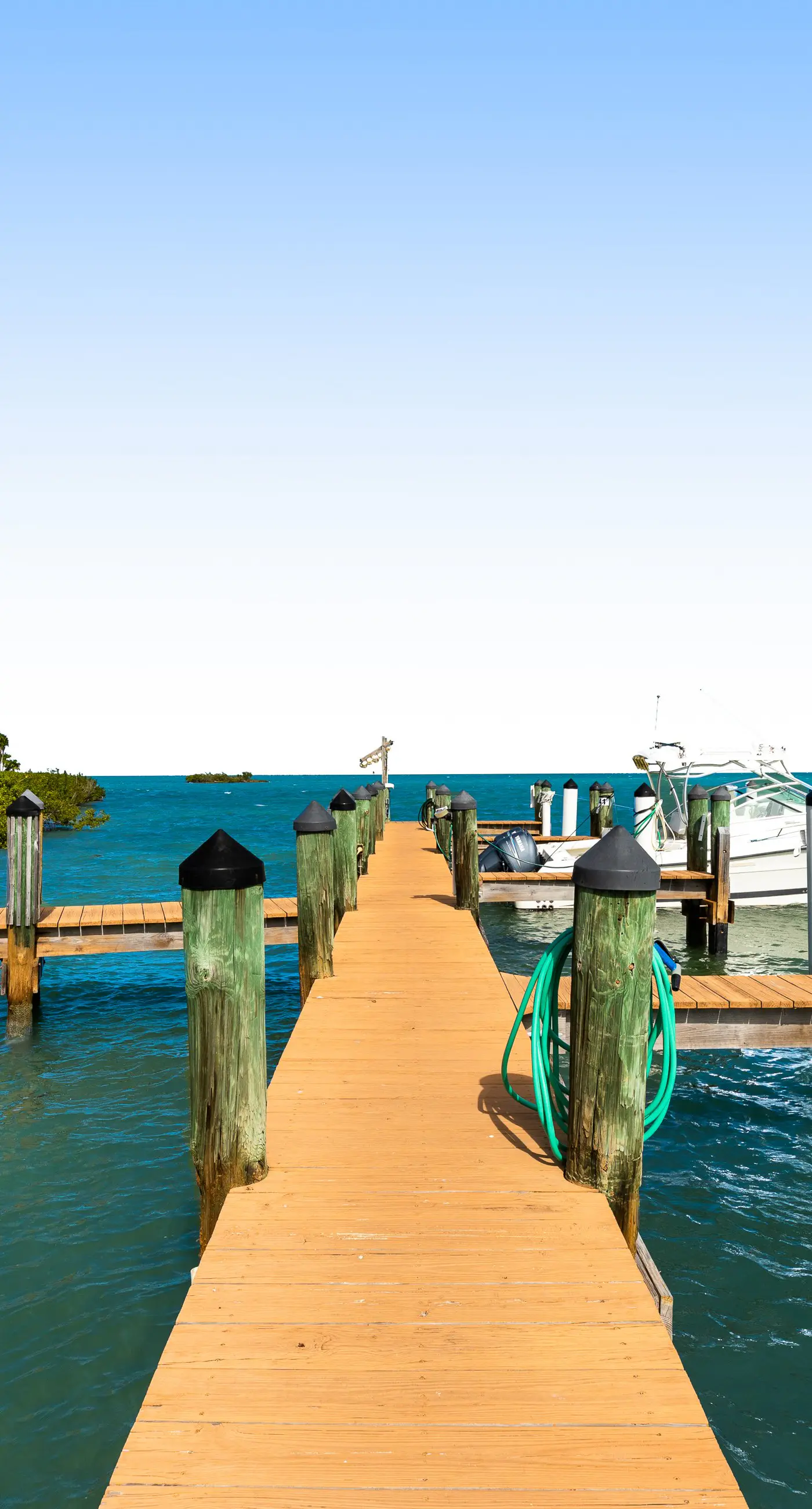 Paradise in the Keys