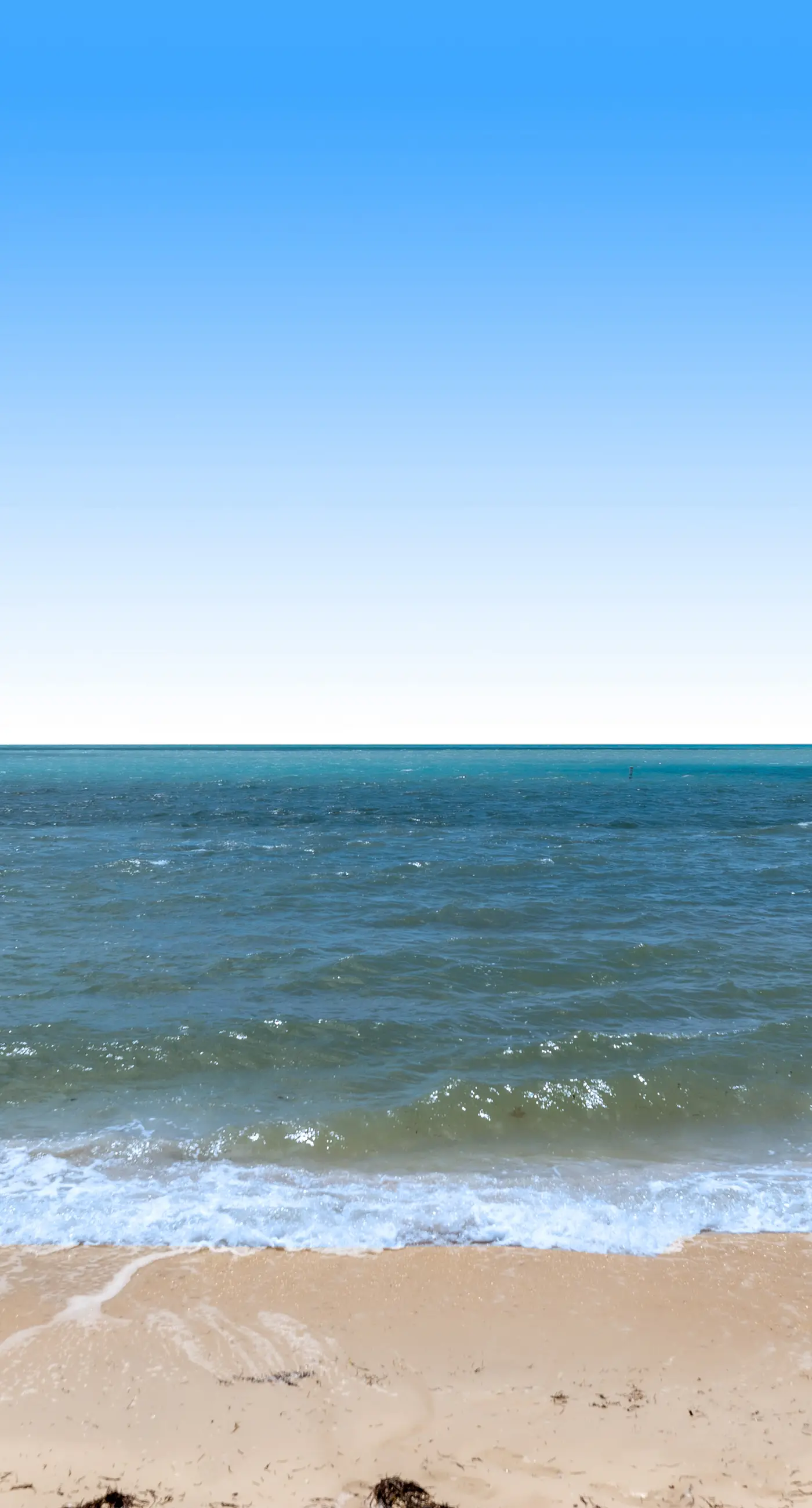 Carpe Diem - Seas The Day