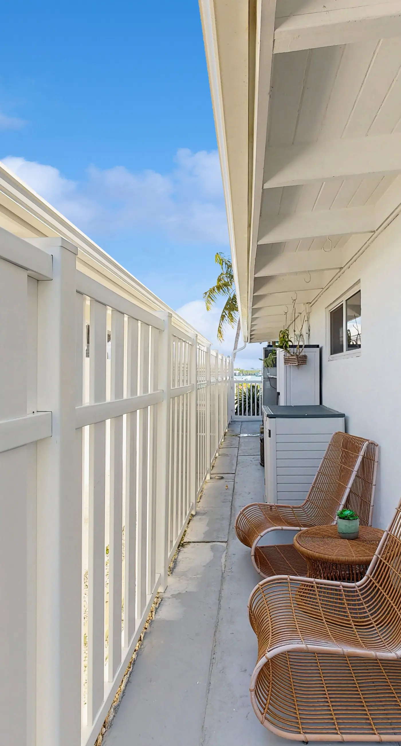 Carpe Diem - Seas The Day