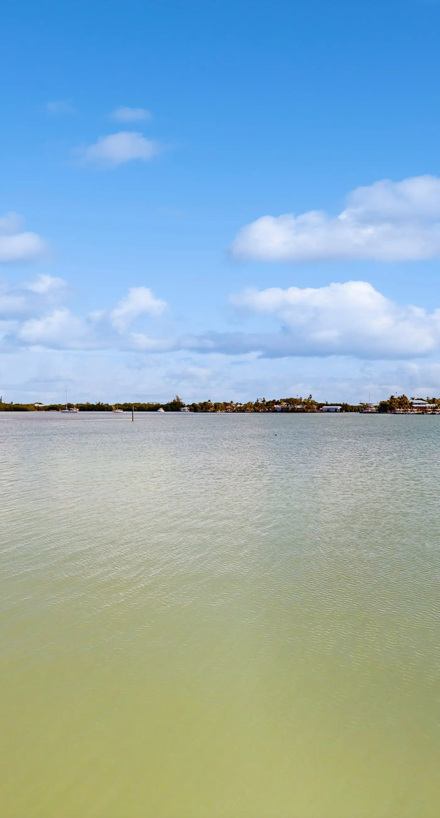 Carpe Diem - Seas The Day