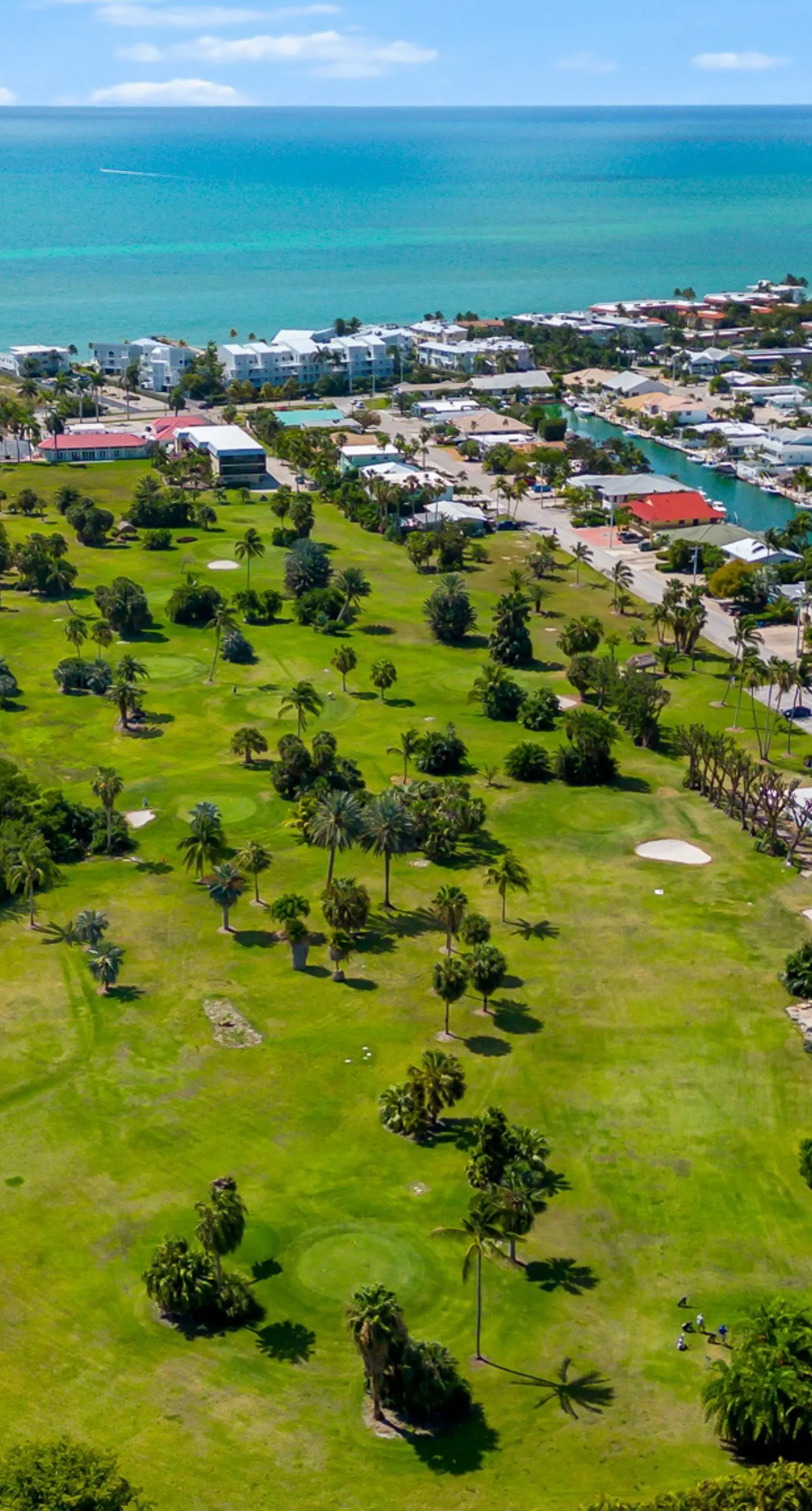 Carpe Diem - Seas The Day