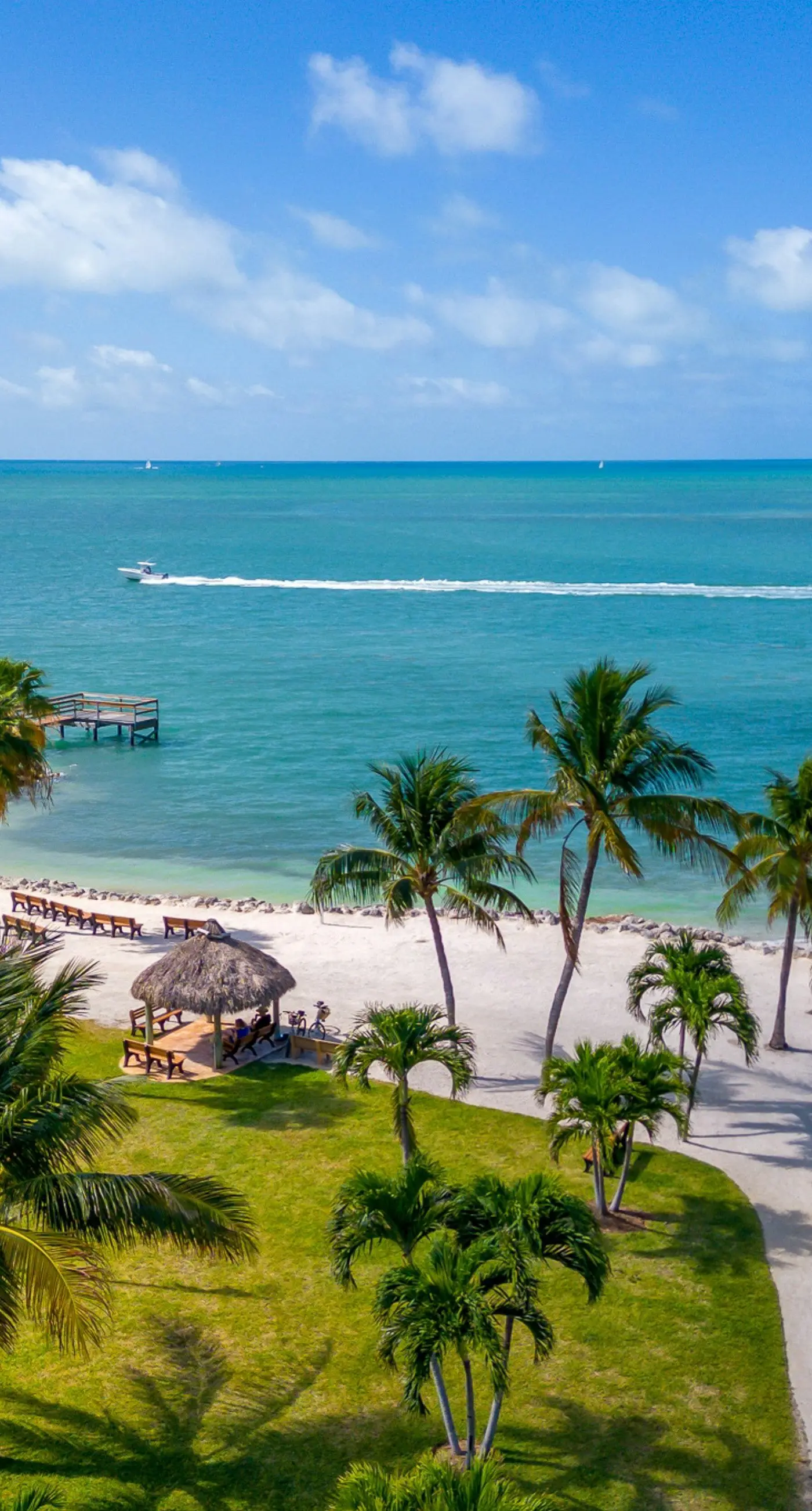 Carpe Diem - Seas The Day