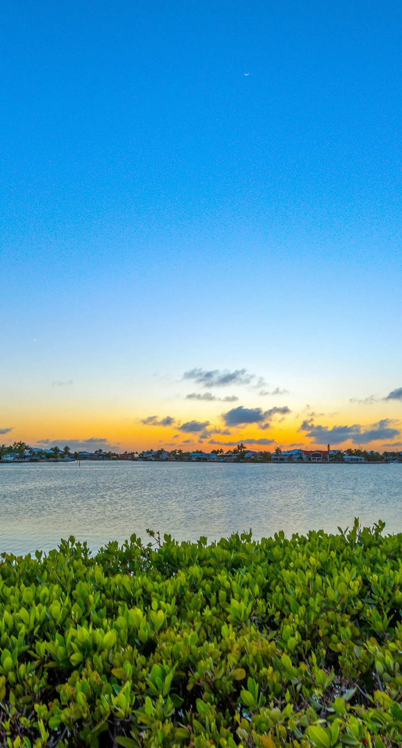 Carpe Diem - Seas The Day