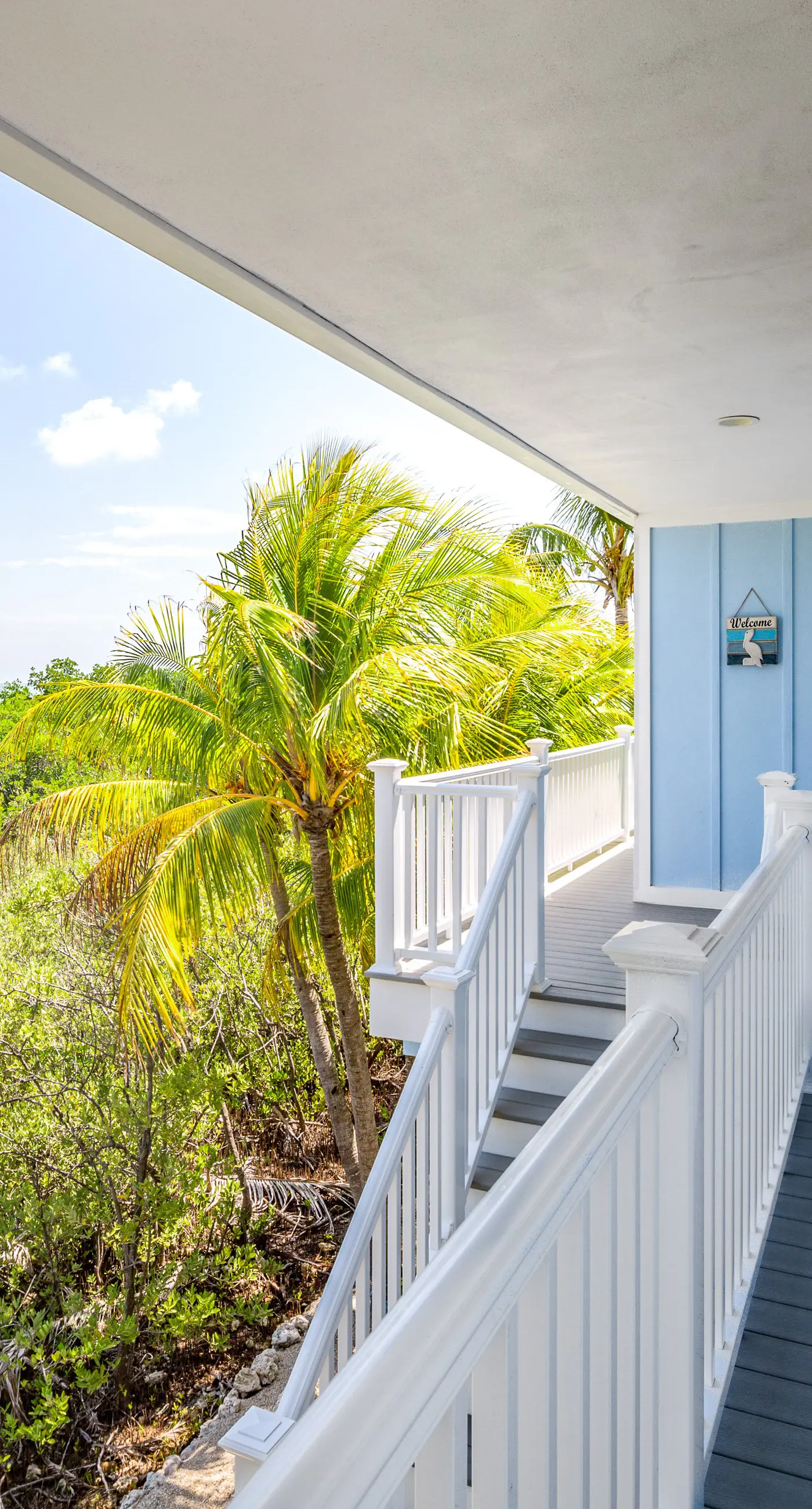 Parrotfish Point