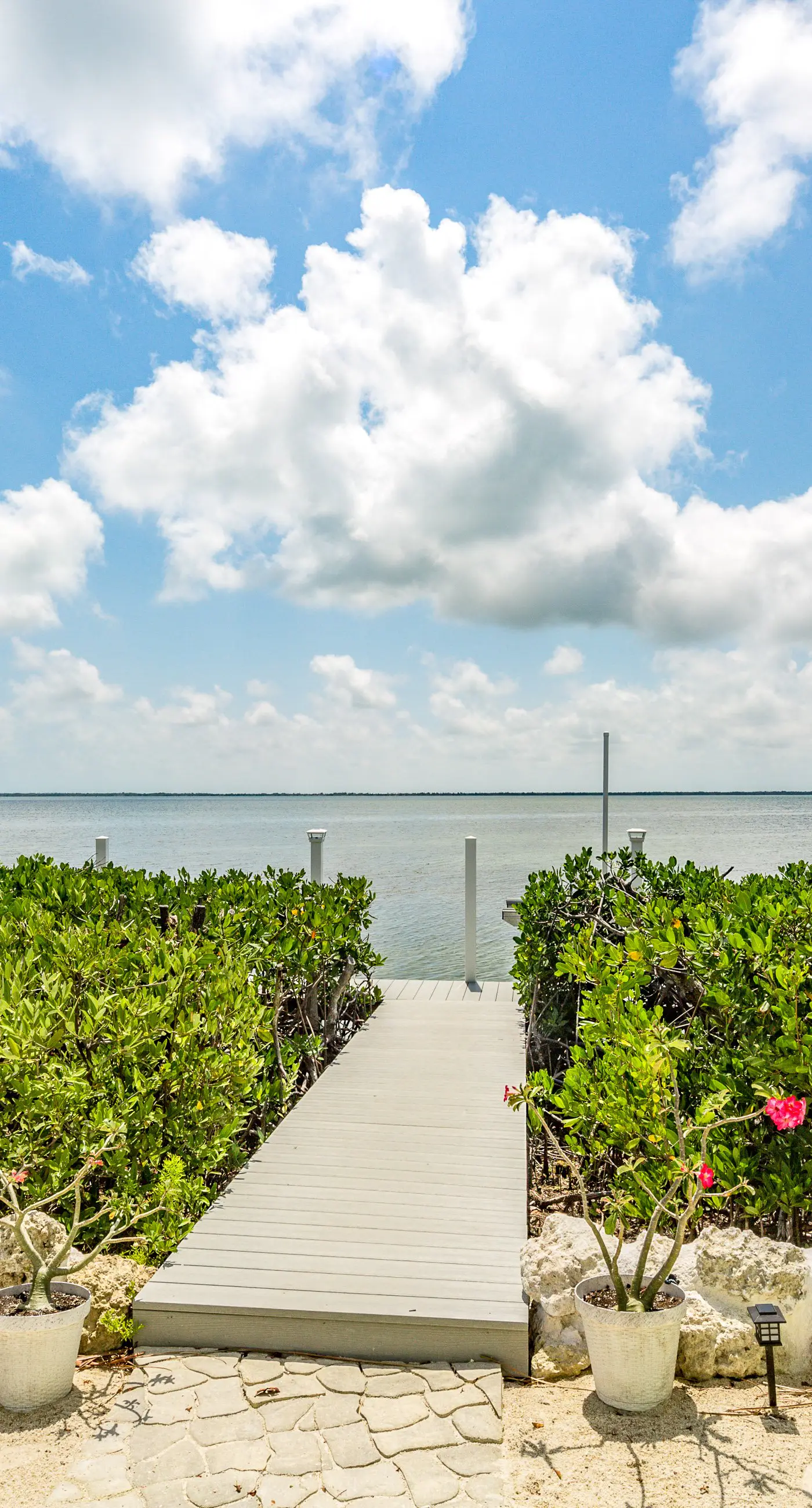 Parrotfish Point