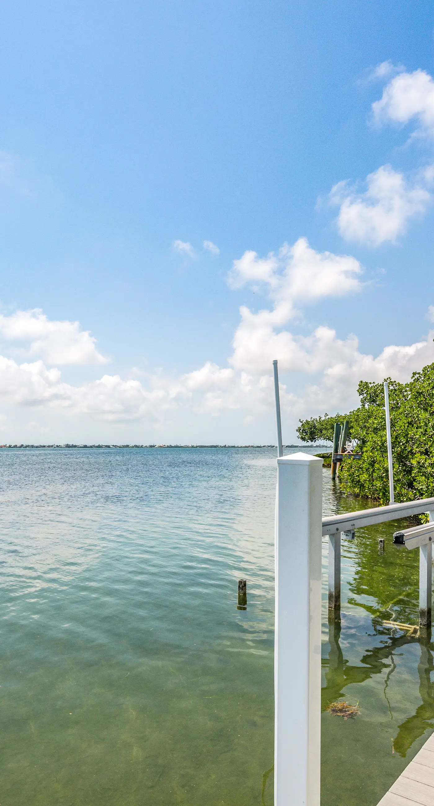 Parrotfish Point