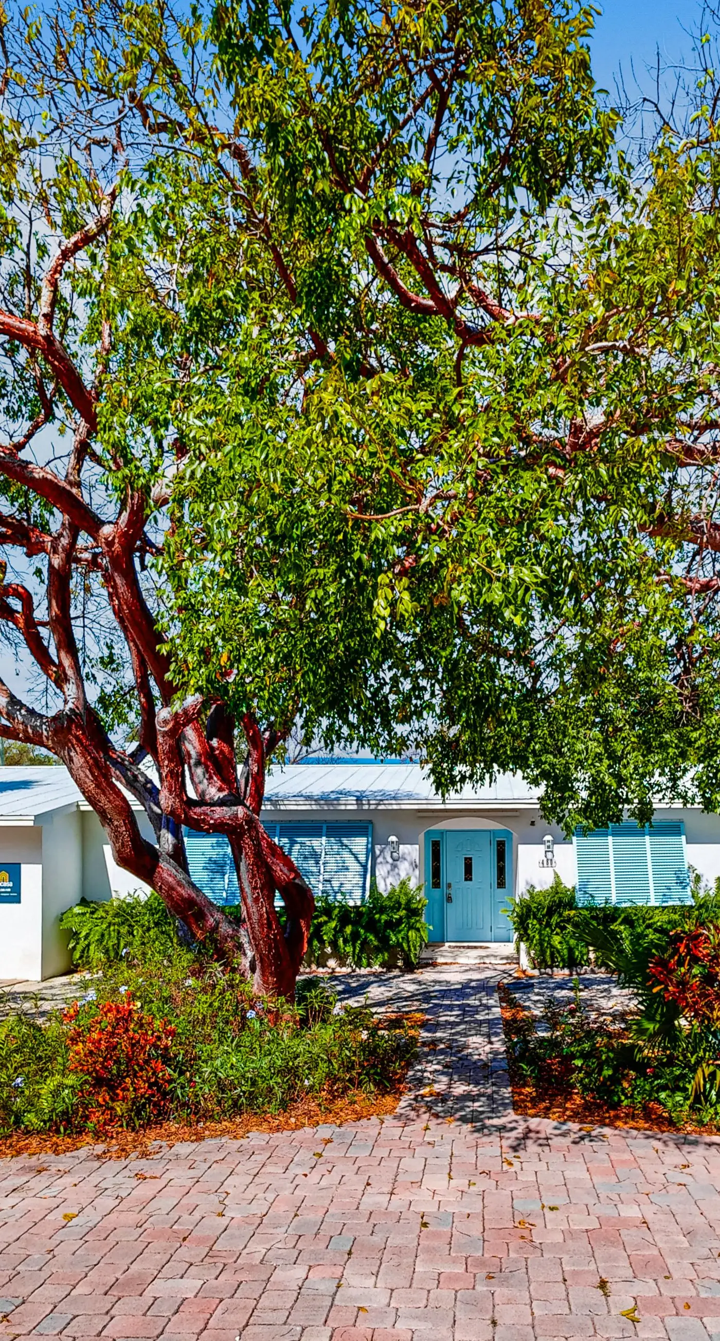 Ouellette Oasis